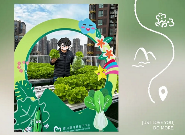 在成都月子中心坐月子，吃上自己采摘的新鲜有机蔬菜啦！4